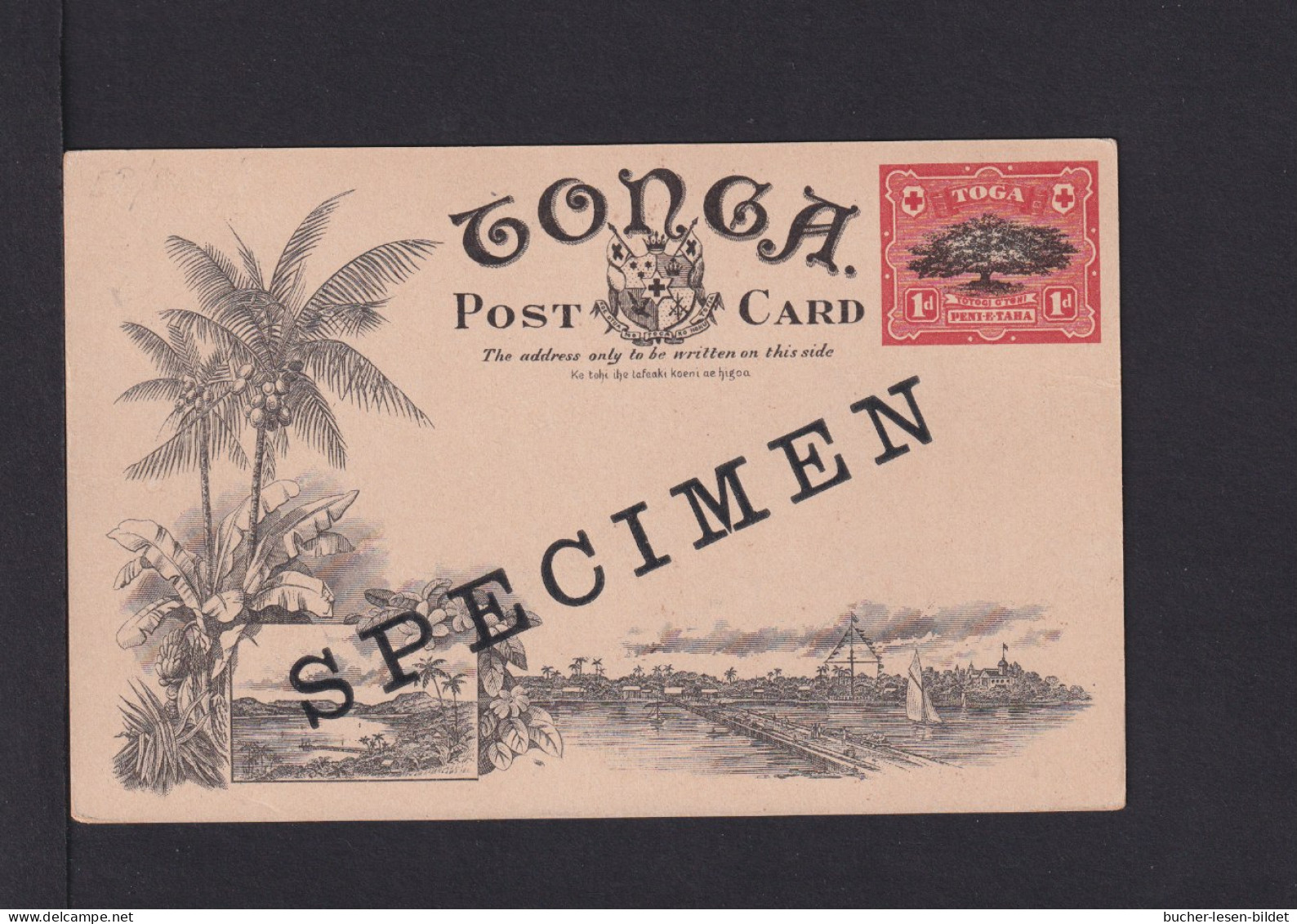 1 P. Bild-Ganzsache "Palmen In Tonga" - SPECIMEN - Tonga (...-1970)