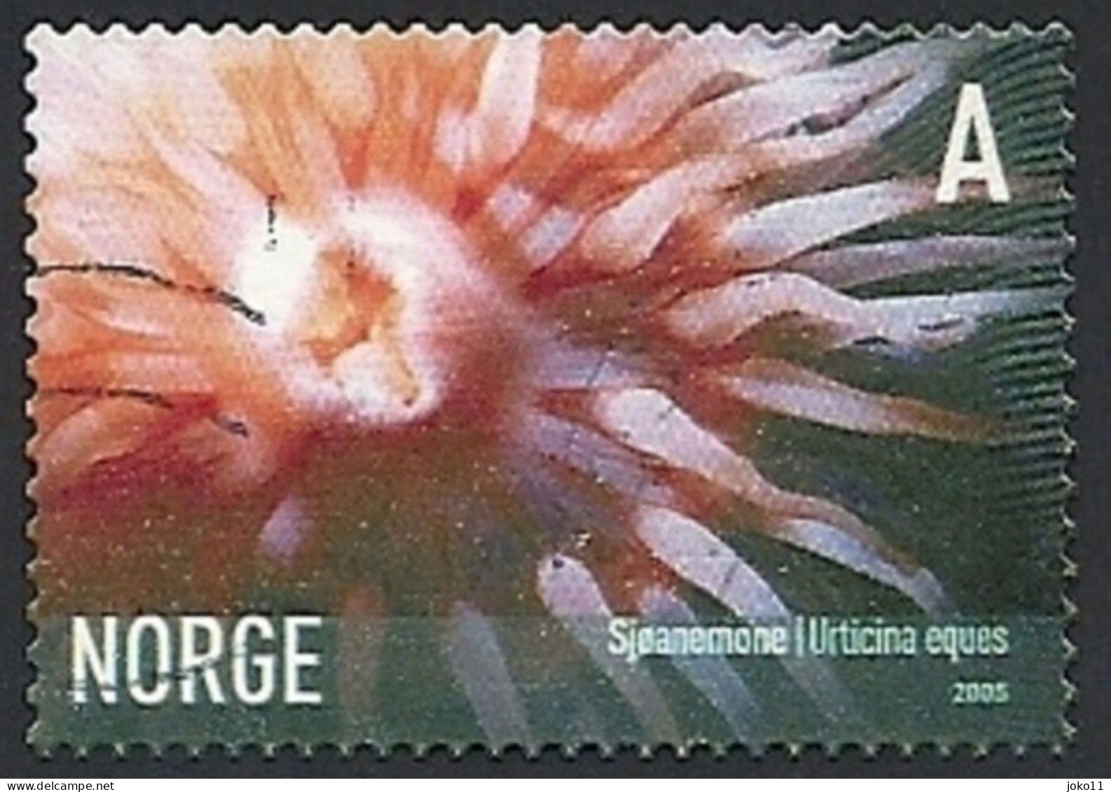 Norwegen, 2005, Mi.-Nr. 1545, Gestempelt - Used Stamps