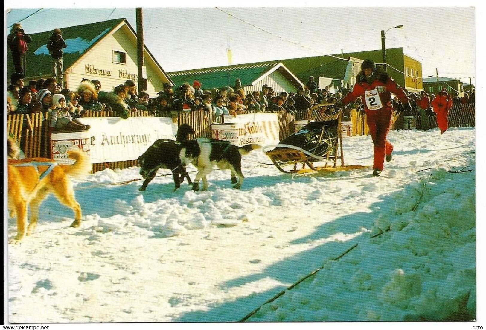 2 Cpm ALASKA Start Famous Sied Dog Race "Iditarod Race" Anchorage To Nome; Susan Butcher Into The Finish Chute In Nome - Other & Unclassified