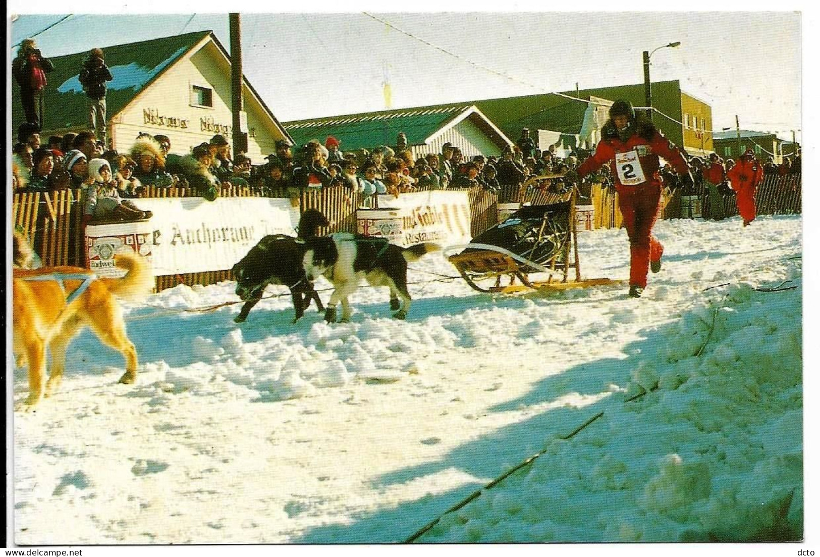 2 Cpm ALASKA Start Famous Sied Dog Race "Iditarod Race" Anchorage To Nome; Susan Butcher Into The Finish Chute In Nome - Autres & Non Classés