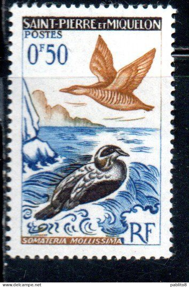 ST. SAINT PIERRE AND ET MIQUELON 1963 BIRDS EIDER DUCKS SOMATERIA MOLLISSIMA  50c MNH - Neufs