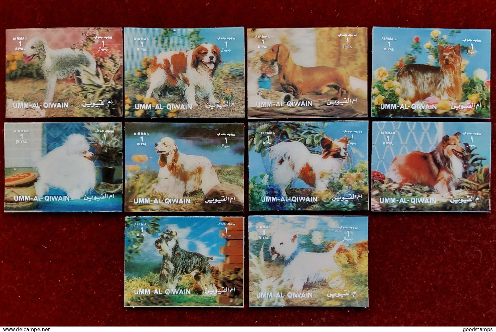 1972 UMM Al Qiwain, "Dog Breeds" 3D Stamps 5.20x4.00 Cm, Full Set ( 10 Values) , Mi. 1634/1643 ,MNH - Umm Al-Qiwain