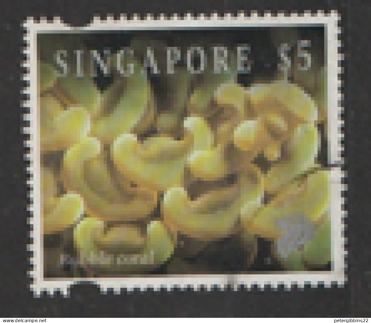 Singapore  1994  SG  752  Corals    Fine Used - Singapore (1959-...)