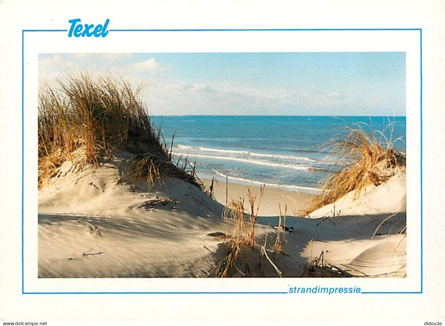 Pays-Bas - Nederland - Texel - CPM - Voir Scans Recto-Verso - Texel