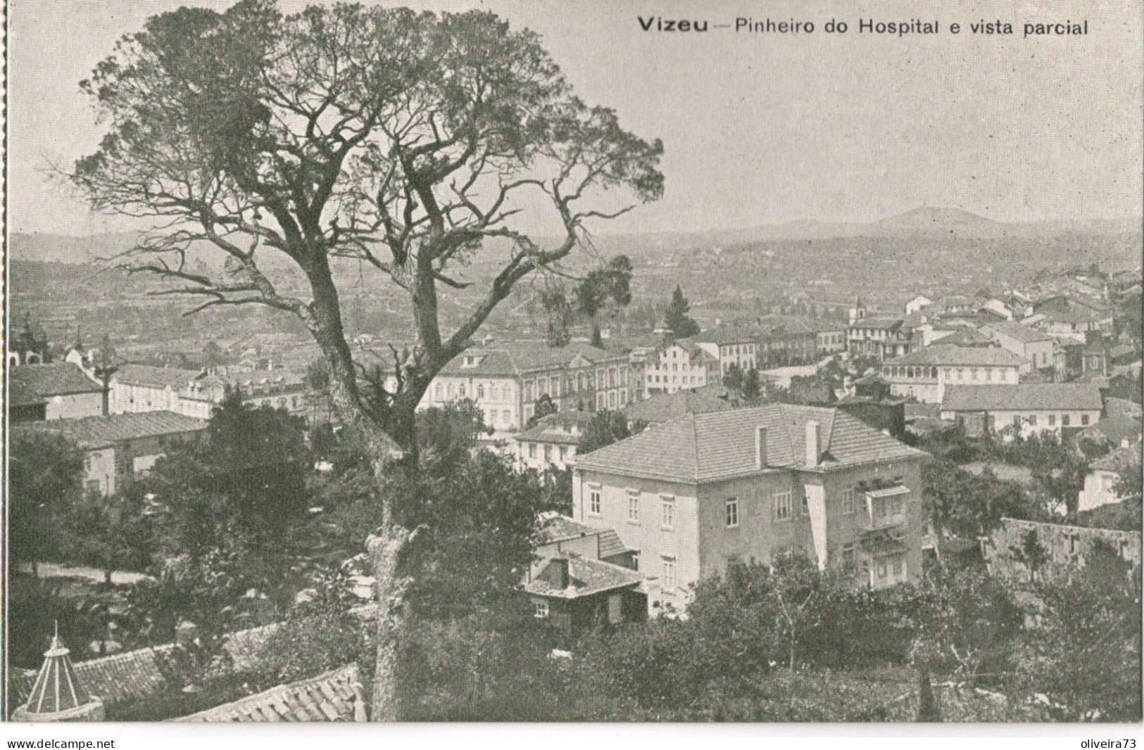 VISEU - Pinheiro Do Hospital E Vista Parcial - PORTUGAL - Viseu