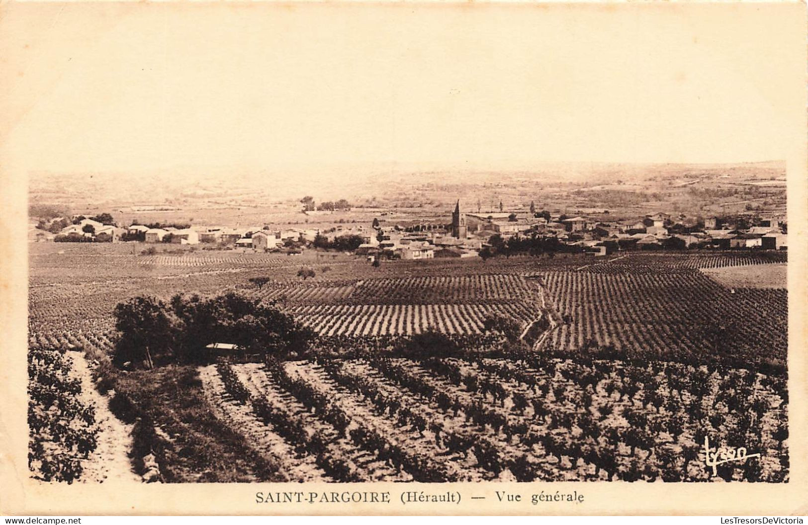 FRANCE - Saint Pargoire - Vue Générale De La Ville - Carte Postale Ancienne - Autres & Non Classés