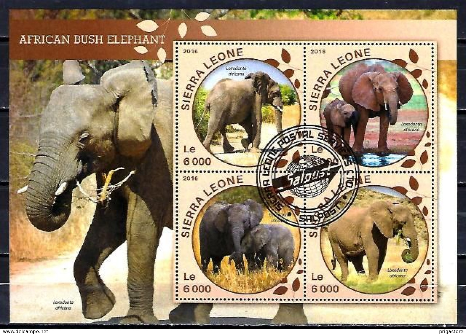 Animaux Eléphants Sierra Leone 2016 (318) Yvert N° 5653 à 5656 Oblitérés Used - Eléphants