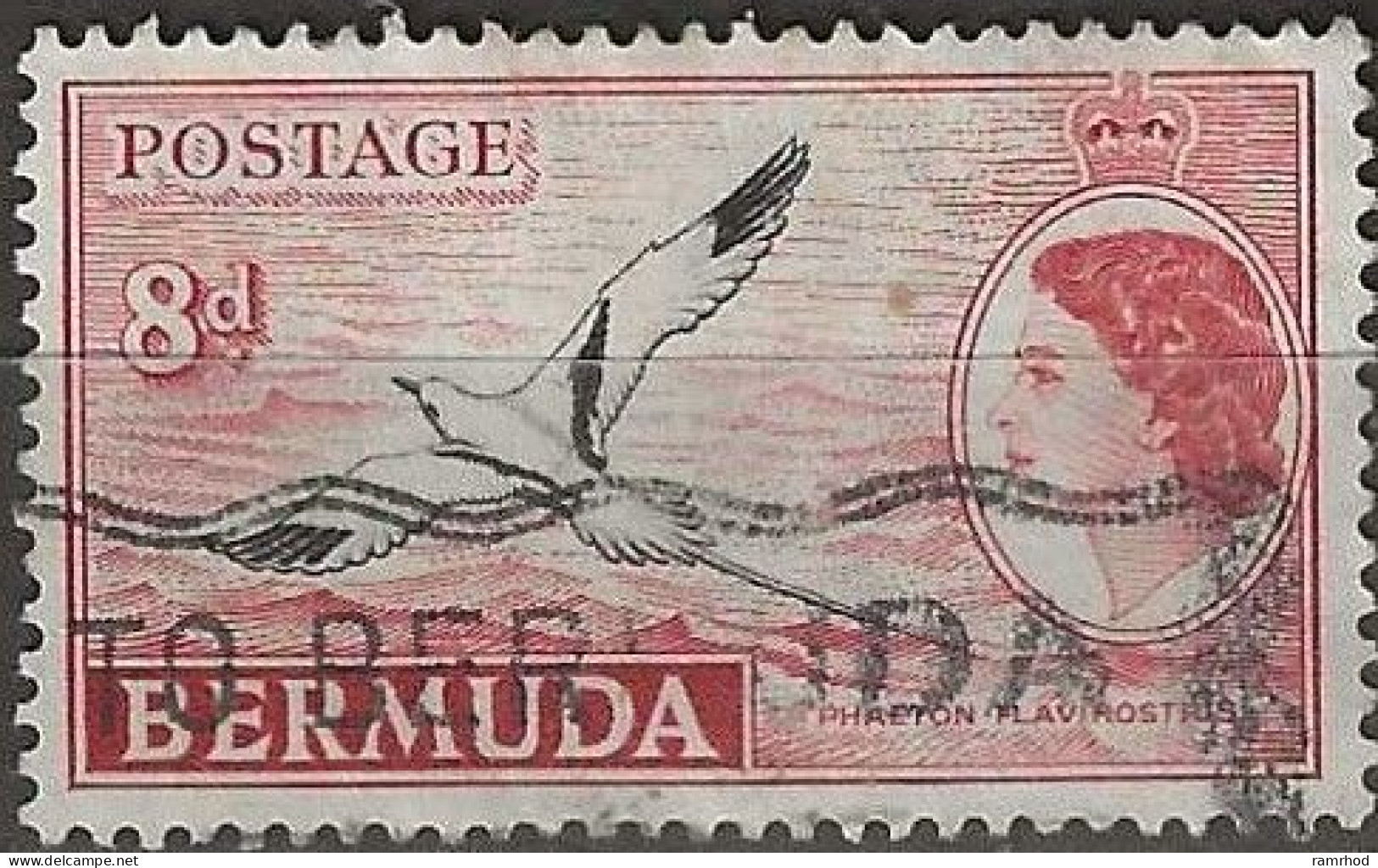 BERMUDA 1953 White Tailed Tropic Bird - 8d - Black And Red AVU - Bermudes