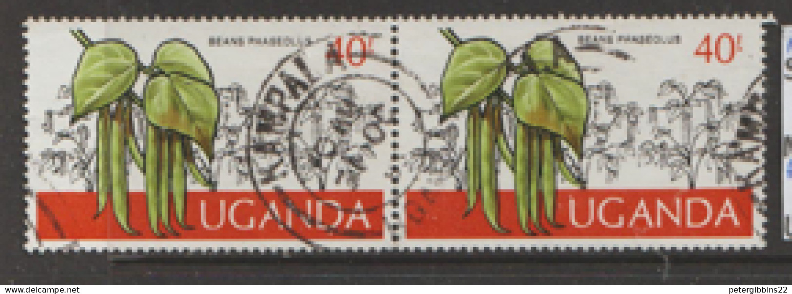 Uganda  1975  SG 162  Beans   Fine Used Pair - Uganda (1962-...)