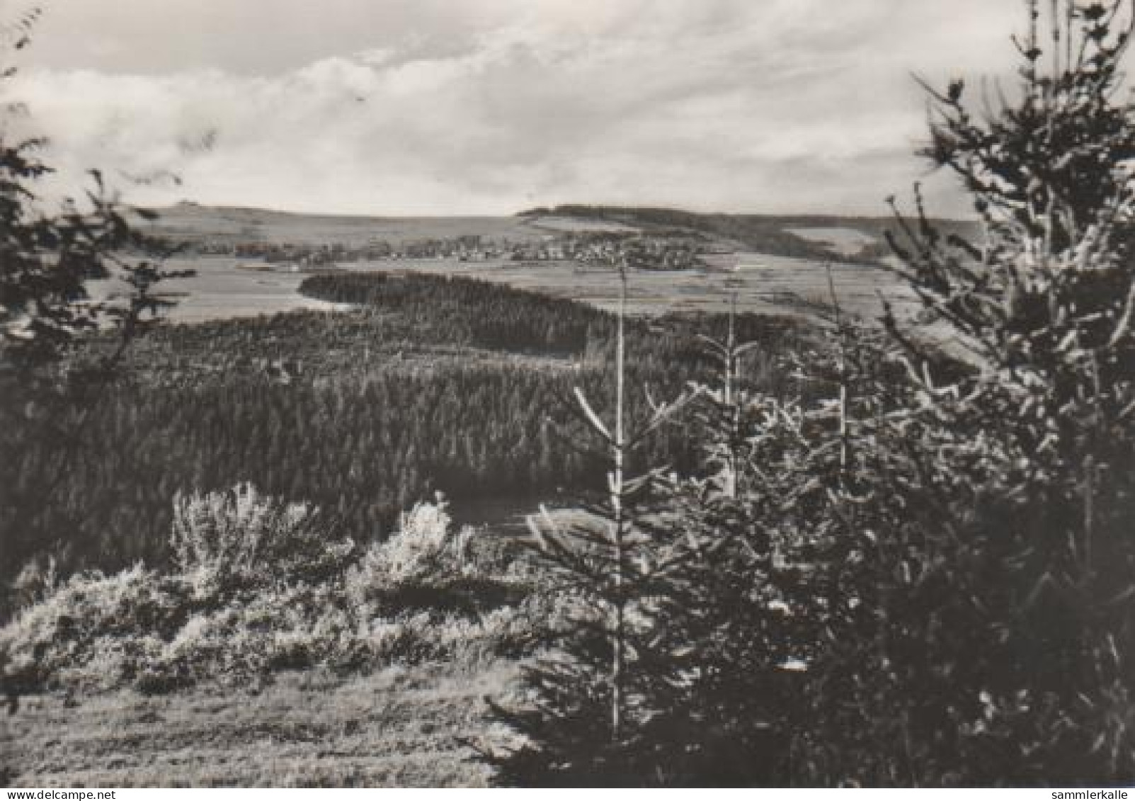 5025 - Waffenrod - Blick N. Schnett U. Kahlberg - 1968 - Hildburghausen