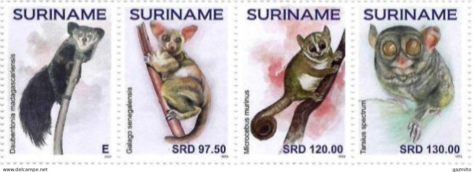 Suriname 2024, Monkey, 4val - Apen
