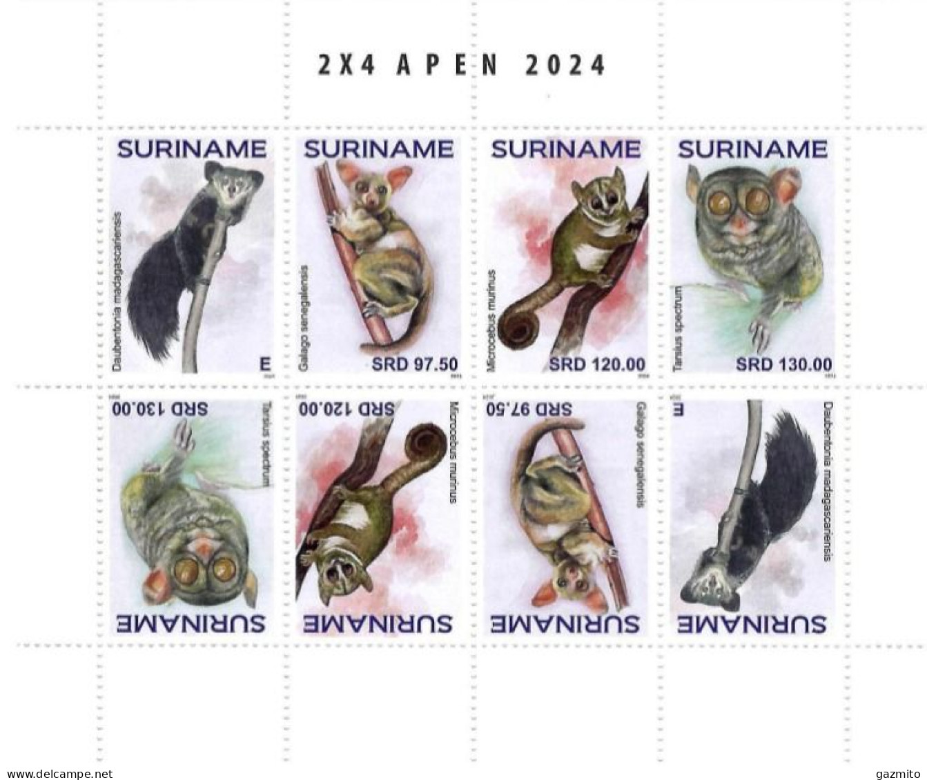 Suriname 2024, Monkey, Sheetlet - Singes