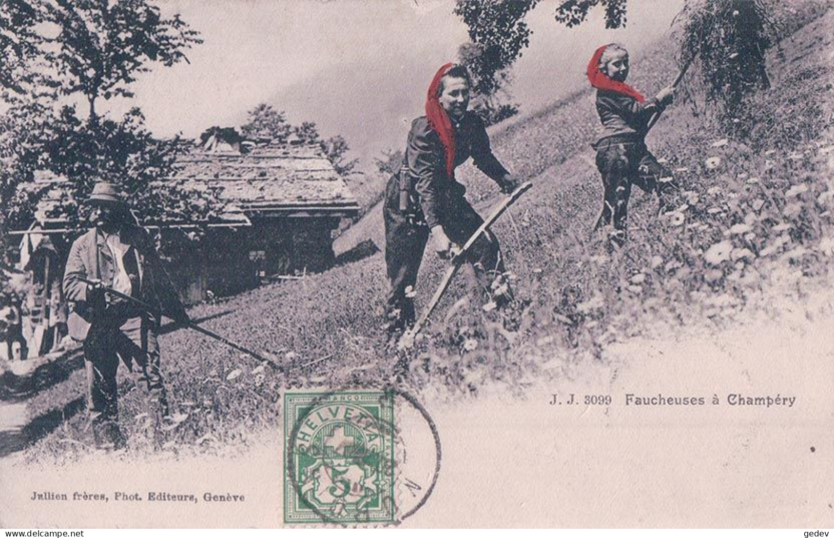 Champéry VS, Paysannes à La Faux, La Coupe Des Foins, Foulard Rouge (3099) - Champéry