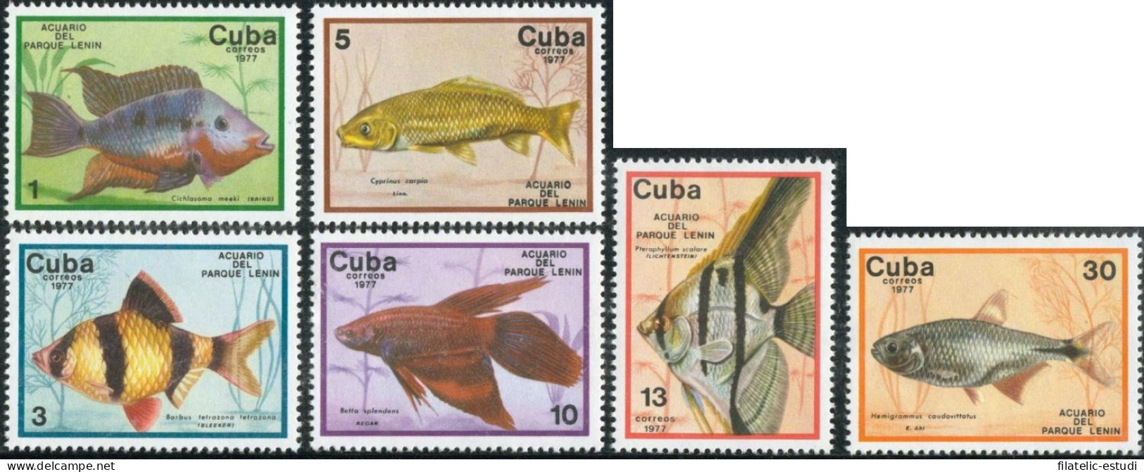 FAU5  Cuba   Nº 1993/98  1977   MNH - Andere & Zonder Classificatie