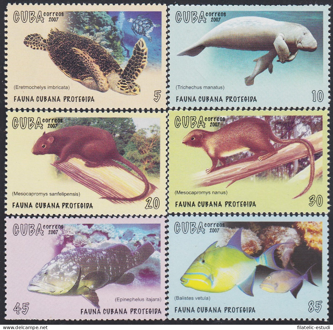 Cuba 4520/25 2007 Fauna Cubana Protegida MNH - Sonstige & Ohne Zuordnung