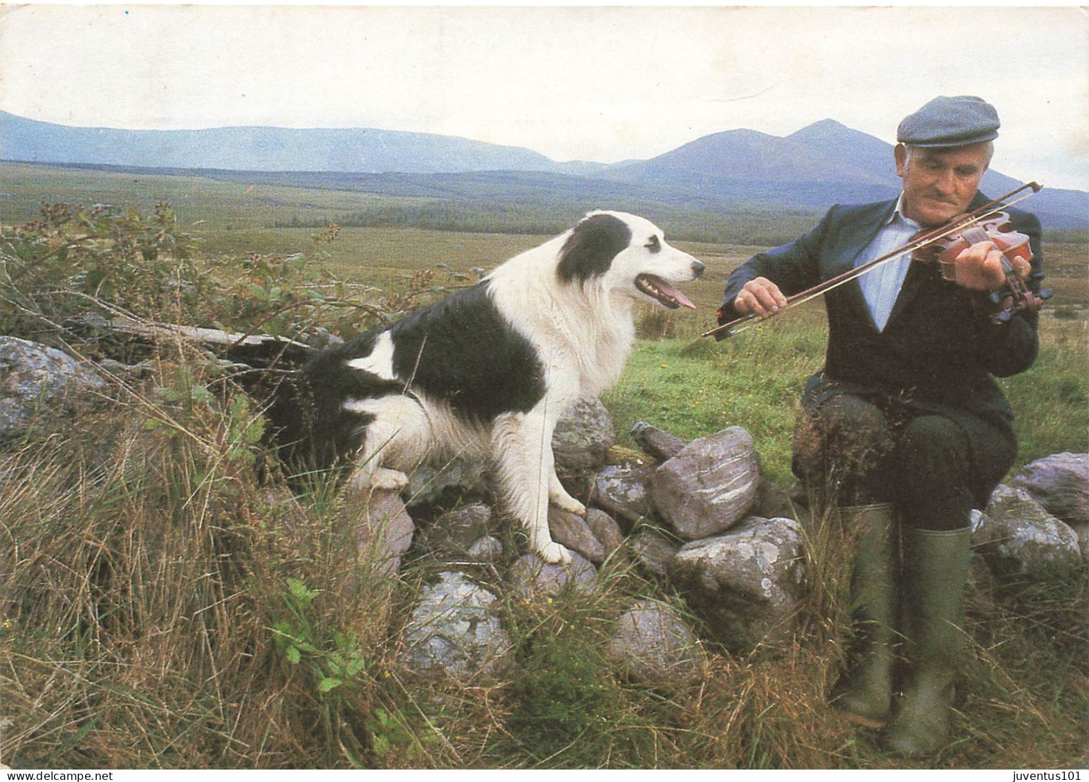 CPSM Traditional Fiddler And Friend-Timbre   L2700 - Kerry
