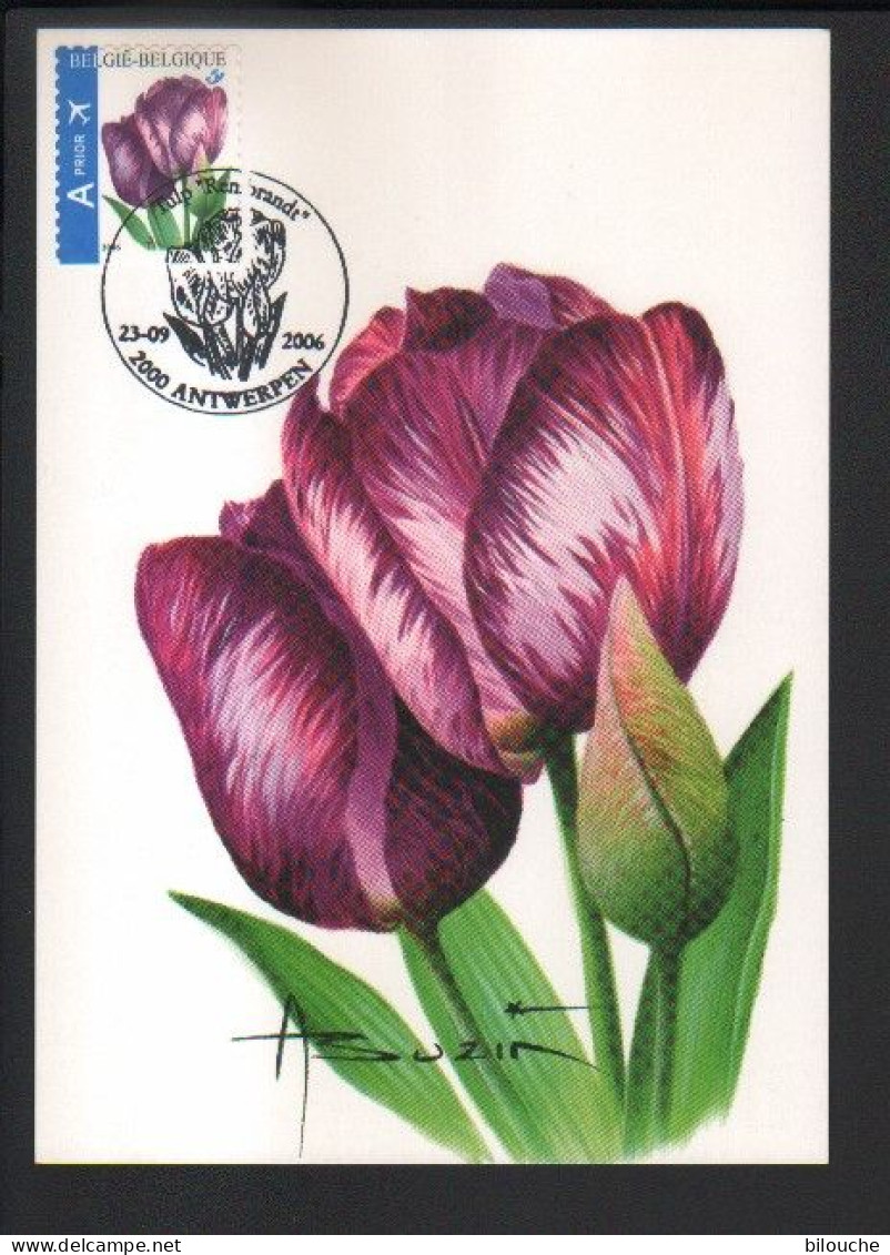 BUZIN / CARTE MAX / COB 3549 / TULIPE REMBRANDT - 2001-2010