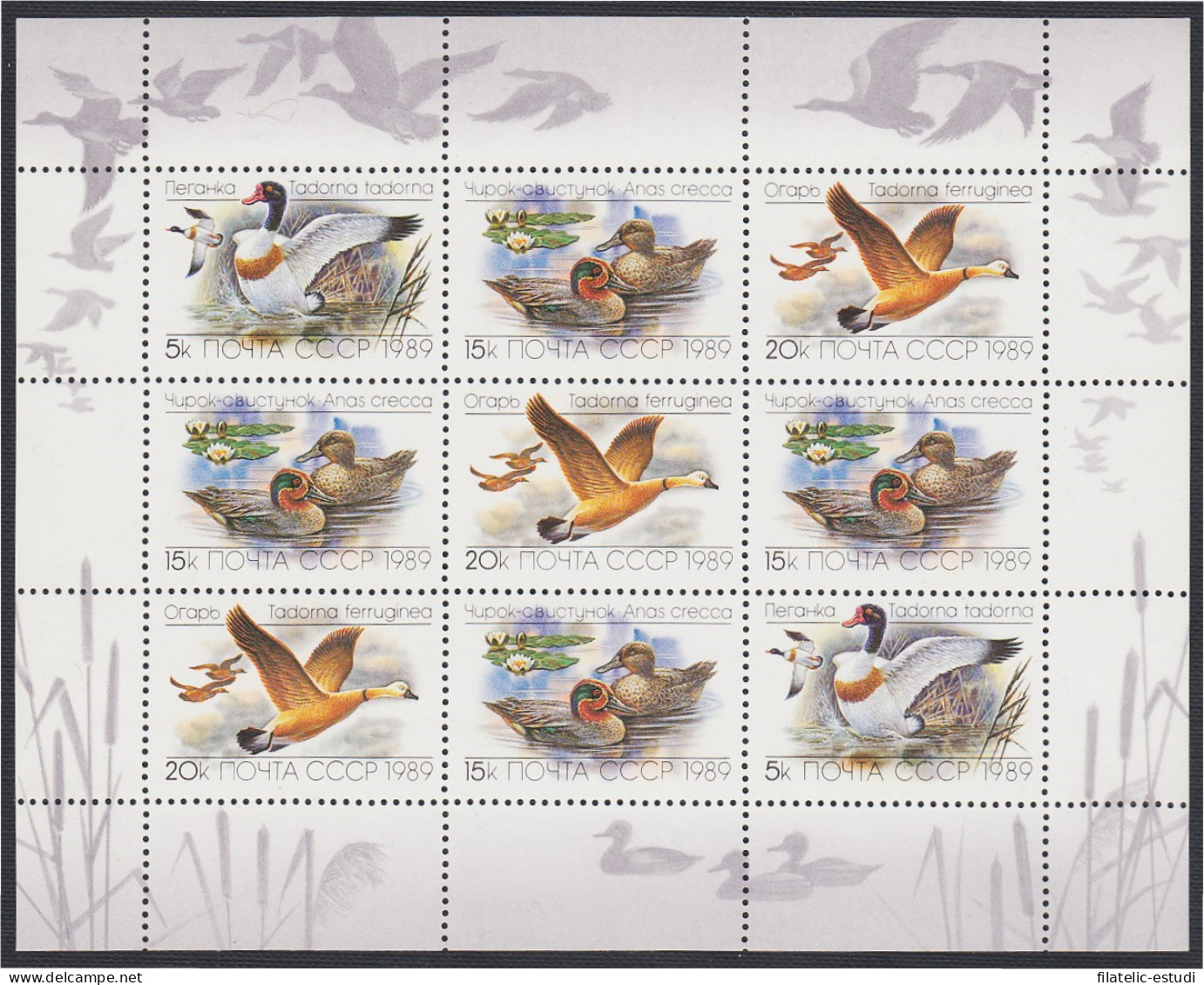 Rusia 5641/43 1989 Fauna Patos Y Gansos Minihojita  MNH - Sonstige & Ohne Zuordnung