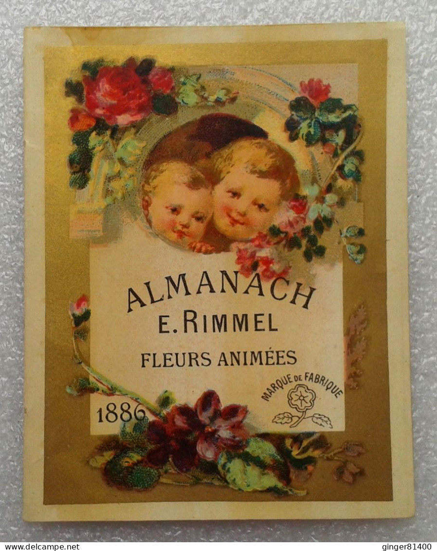 Couverture ALMANACH De E. RIMMEL "Fleurs Animées" De 1886 - Kleinformat : ...-1900