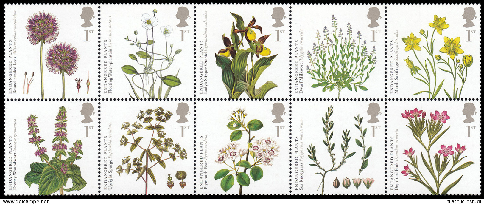 Gran Bretaña 3149/58 2009 Conservación De La Fauna Y Flora Plantas Tóxicas MNH - Zonder Classificatie