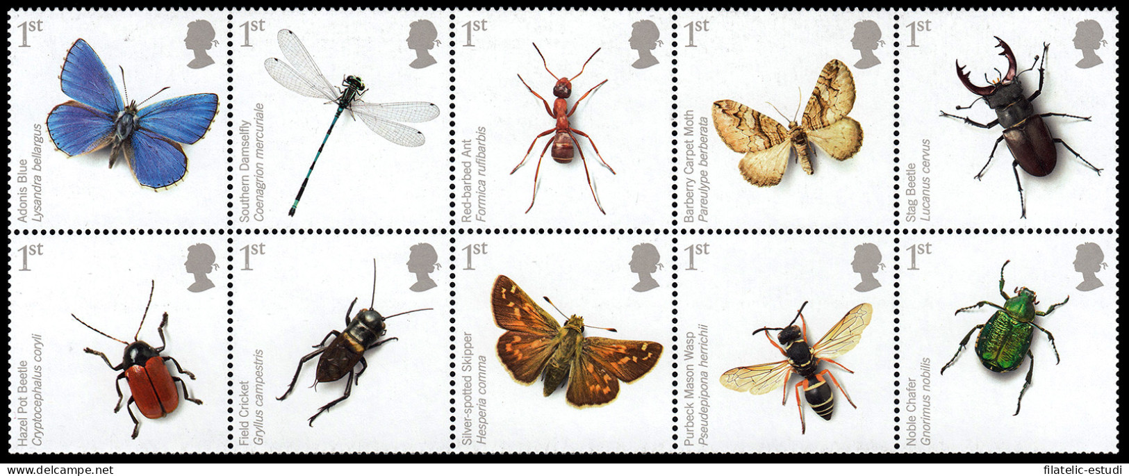 Gran Bretaña 3009/18 2008 Conservación De La Fauna Y Flora Insectos MNH - Unclassified