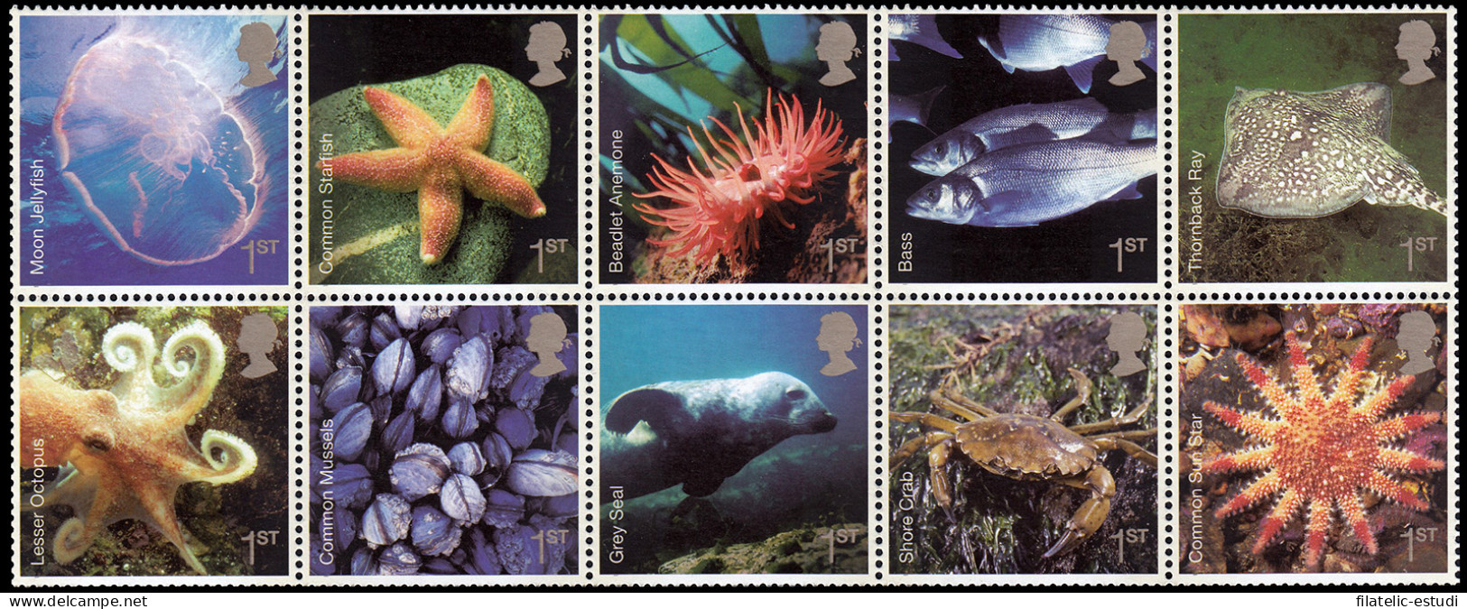 Gran Bretaña 2837/46 2007 Fauna Marina MNH - Ohne Zuordnung