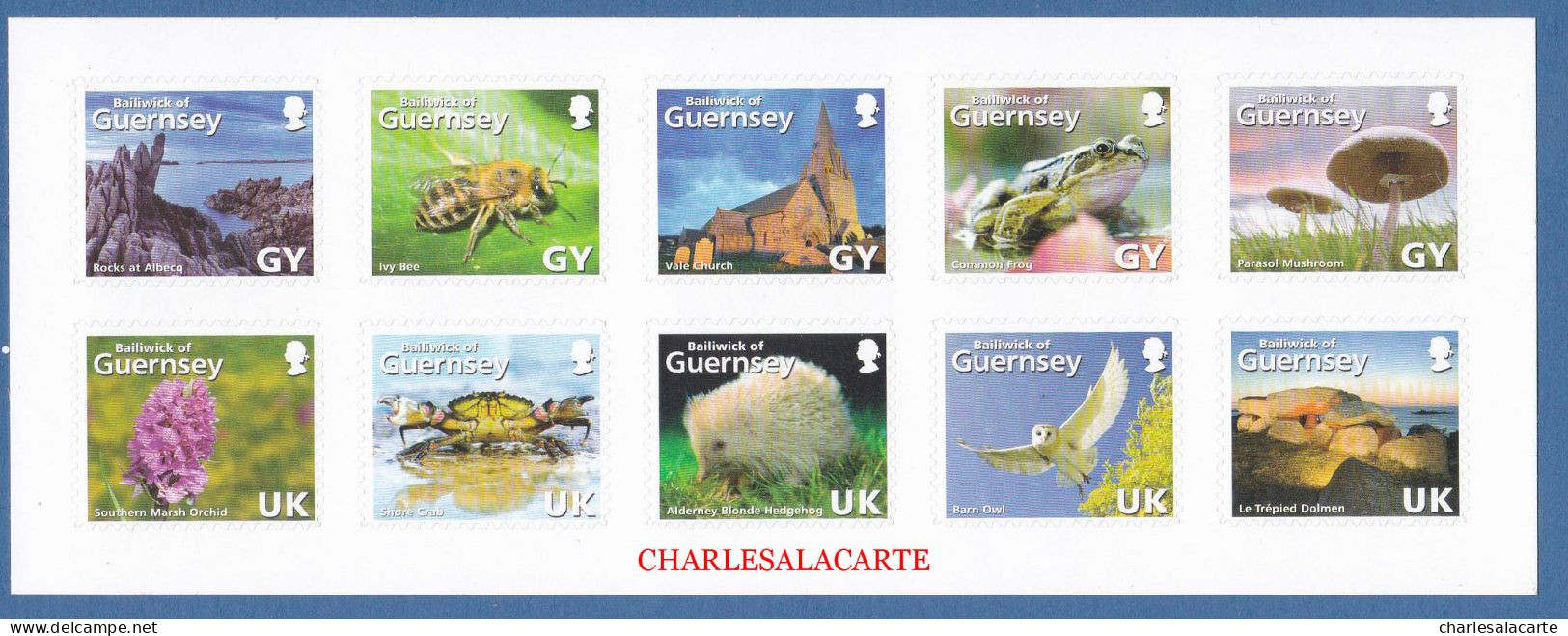 GUERNSEY/GUERNESEY 2007  SOCIETE  SELF ADHESIVE SHEETLET  S.G. 1149a  U.M.  N.S.C. - Guernesey