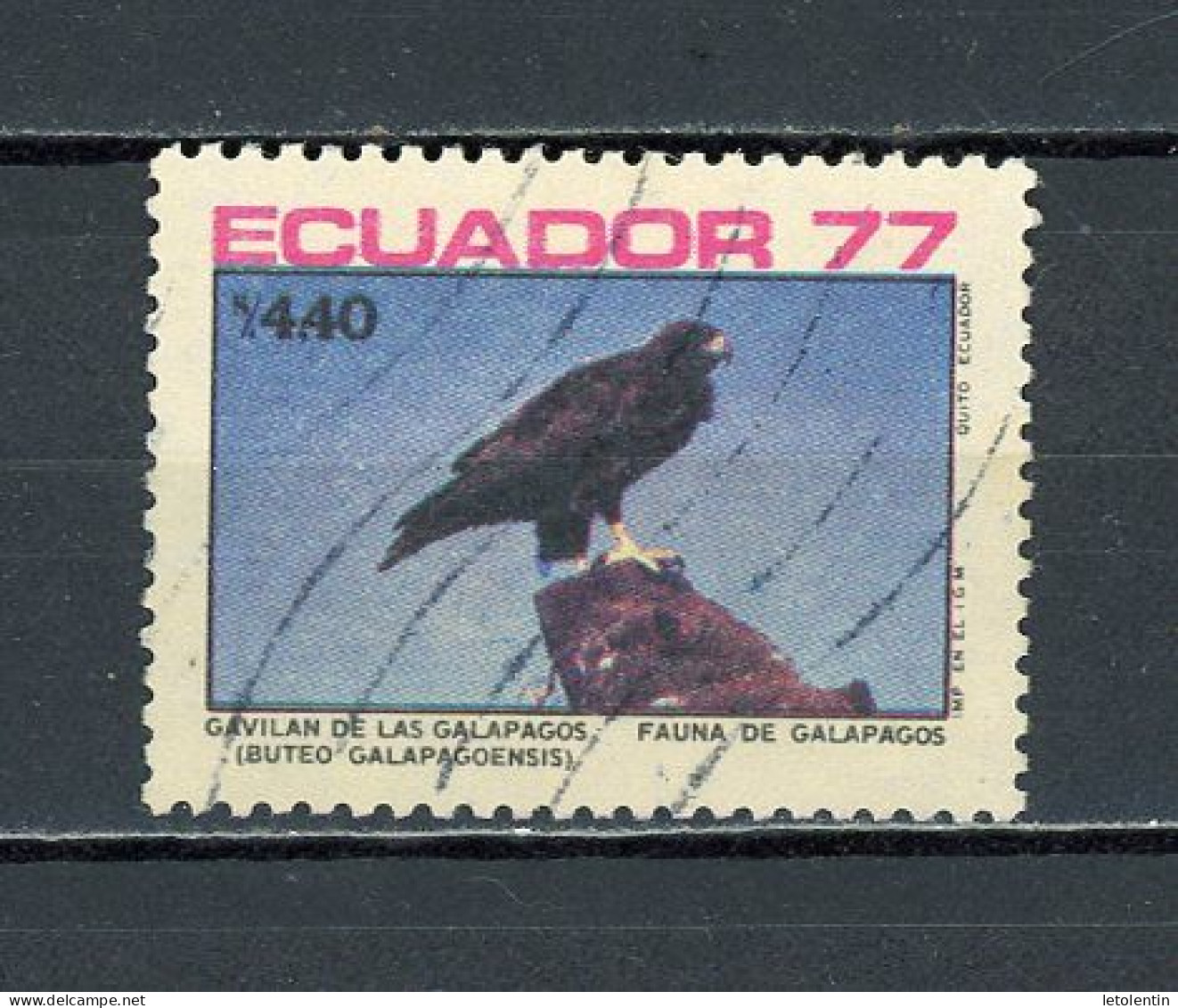 EQUATEUR : OISEAU     - N° Yvert 970 Obli. - Equateur
