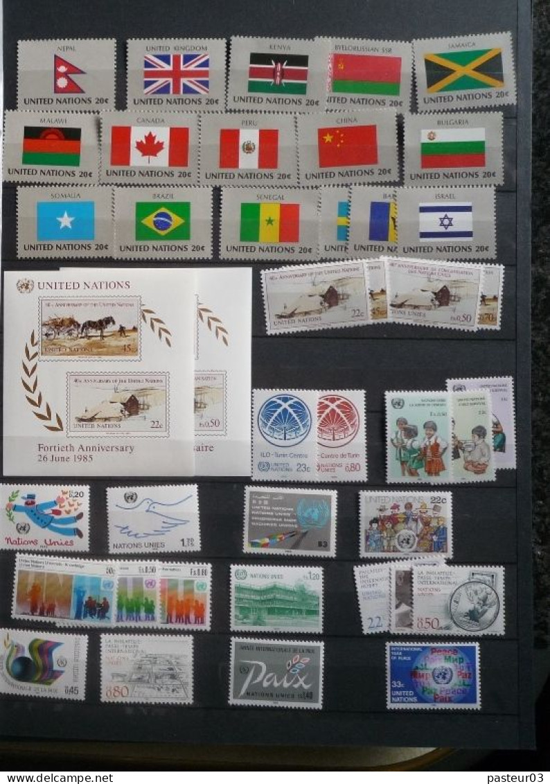 Nations Unies Collection nombre important de timbres et blocs et  plus 16 feuillets drapeaux