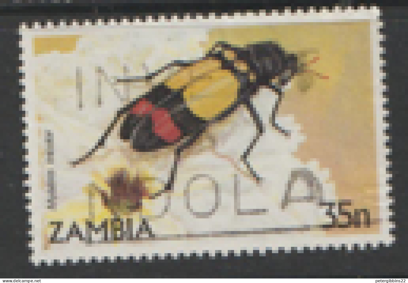 Zambia  1986  SG 449  Beetle   Fine Used - Zambie (1965-...)