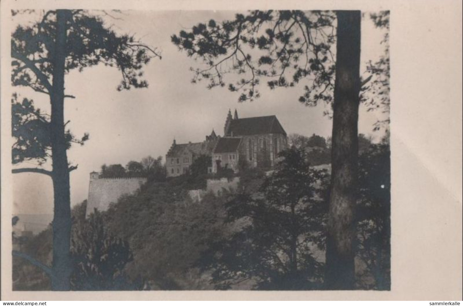 54935 - Mansfeld - Schloss Von Westen - Ca. 1950 - Mansfeld
