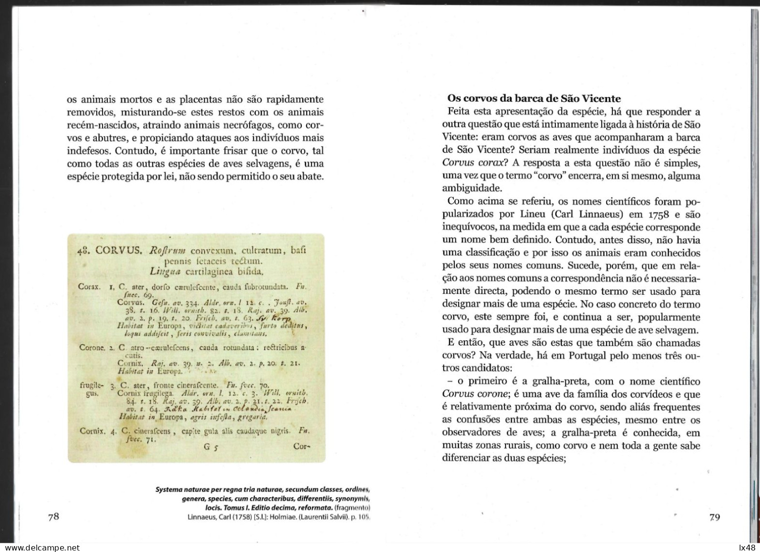 Book '850 Years Since The Arrival Of Relics Of Saint Vincent In Lisbon'. The Crows Of S. Vicente Boat.' Crow. 100 Pages - Livres Anciens