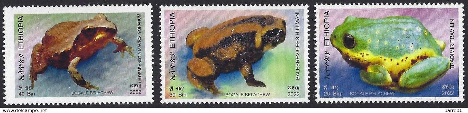 Ethiopia 2022 Bale Mountains Tree Frog Balebreviceps Somali Ornate Frog Hildebrandtia Tradimir Travilin Unknown Mint - Frogs