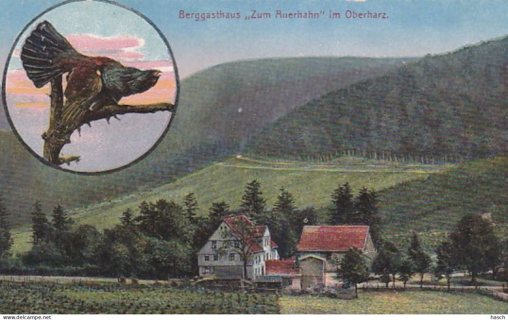 2791	168	Berggasthaus Zum Auerhahn (Sehr Kleine Falten Im Ecken Und Kanten) - Oberharz