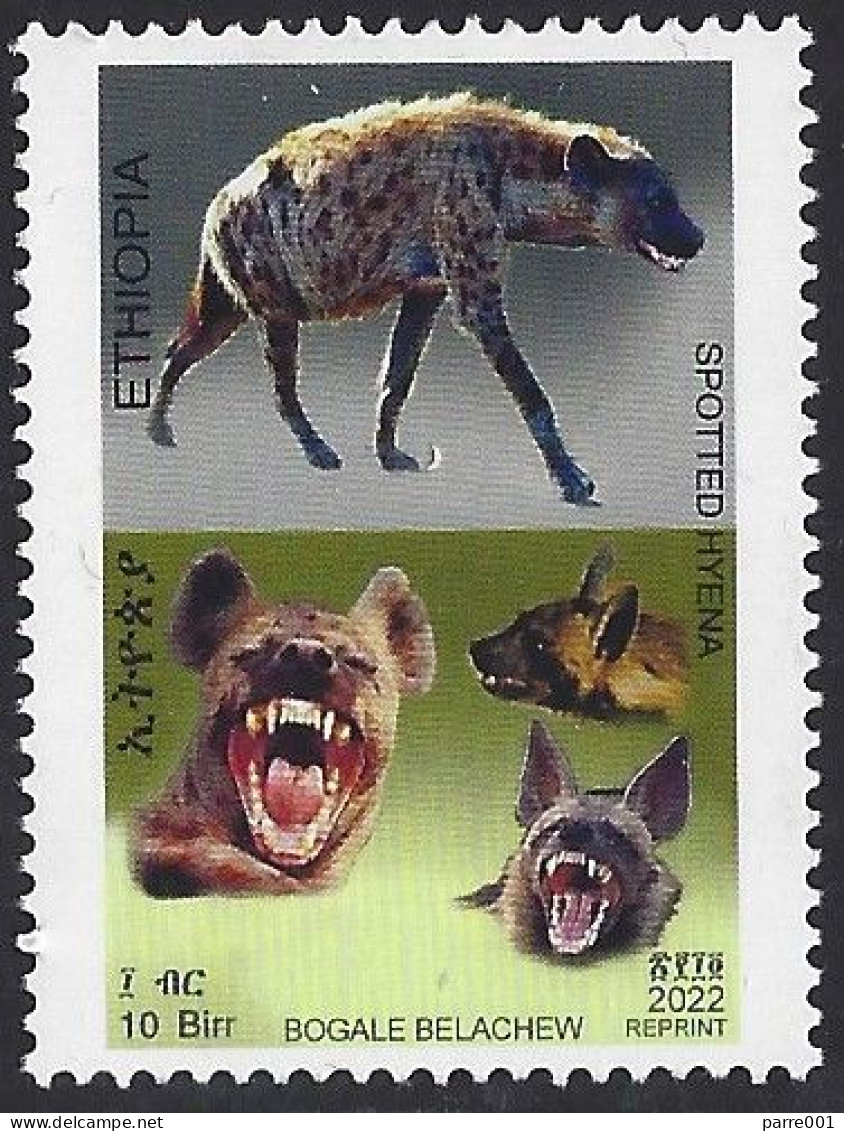 Ethiopia 2022 Spotted Hyena Crocuta Crocuta Reprint Revalued 10Br From 5Br Text Changed Mint - Etiopia