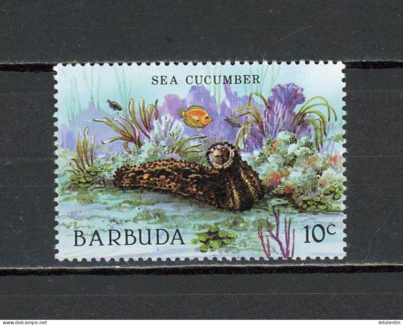 BARBADE - FAUNE MARINE  - N° Yvert 894** - Barbados (1966-...)