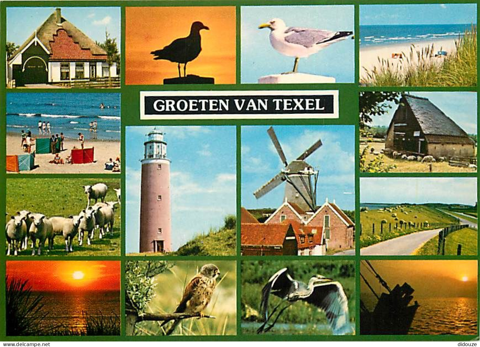 Pays-Bas - Nederland - Texel - Multivues - CPM - Voir Scans Recto-Verso - Texel