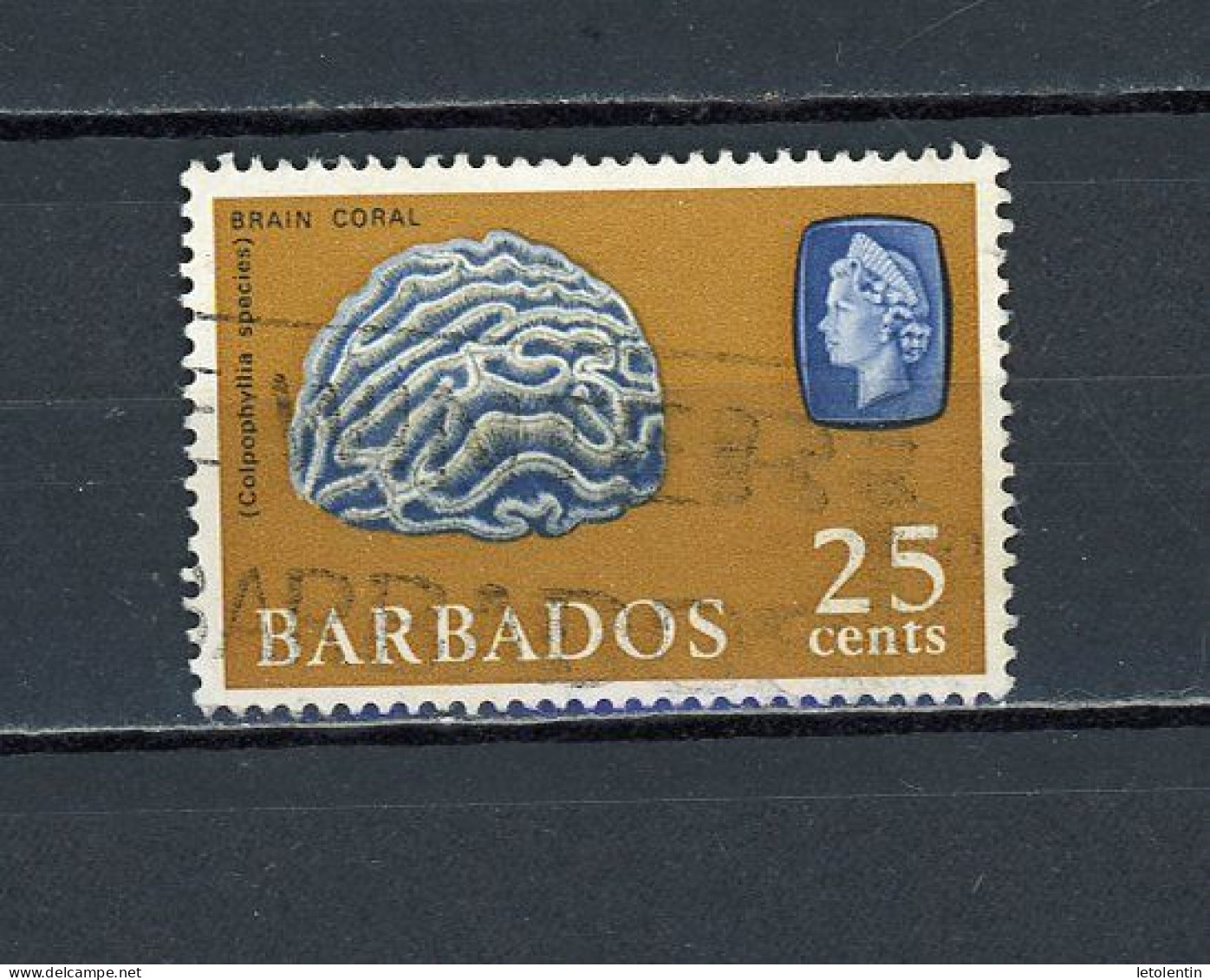 BARBADE (GB) - FAUNE MARINE  - N° Yvert 252 Obli. - Barbados (...-1966)