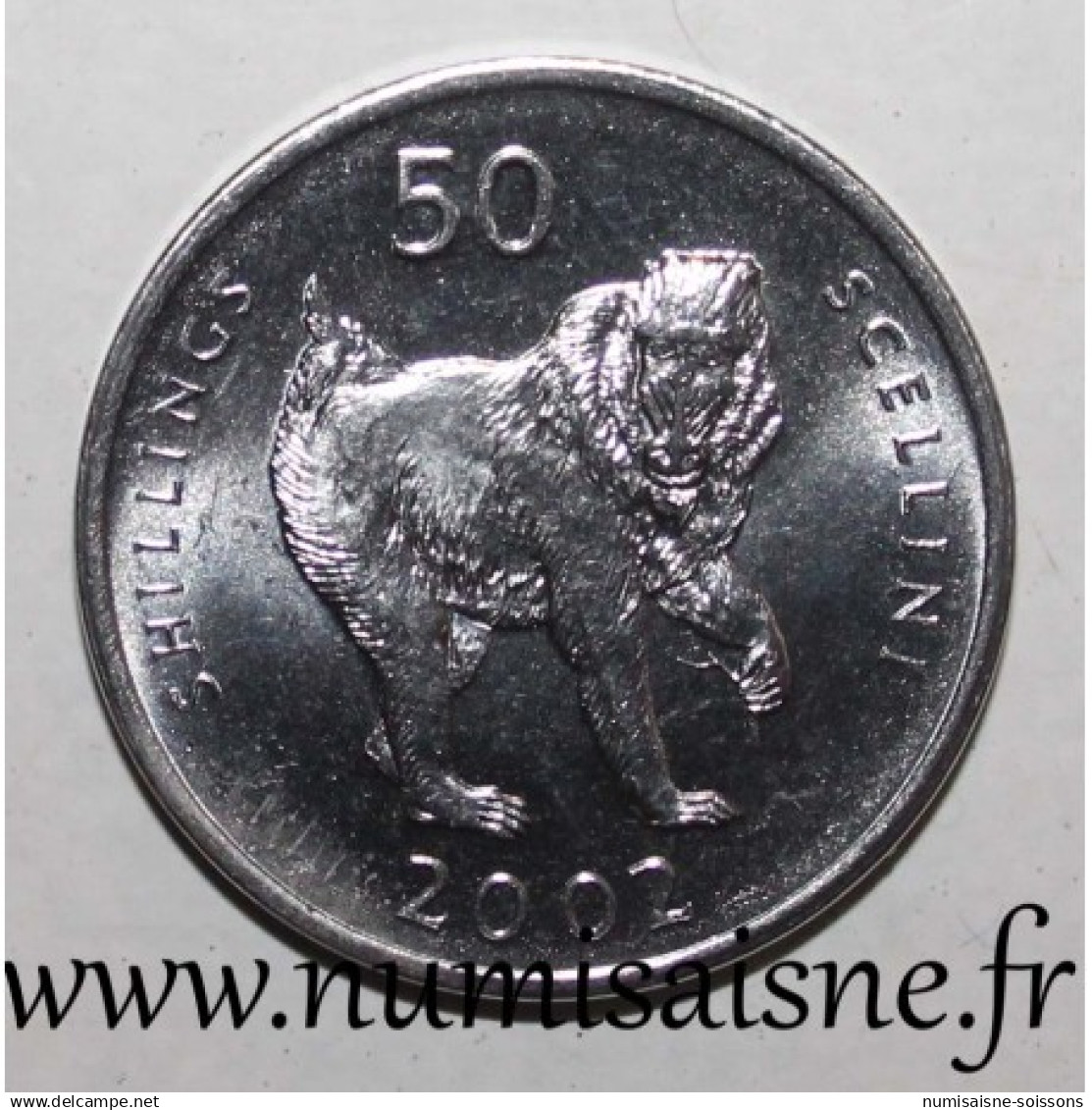 SOMALIE - KM 111 - 50 SHILLINGS 2002 - Singe Mandrill - SPL - Somalië