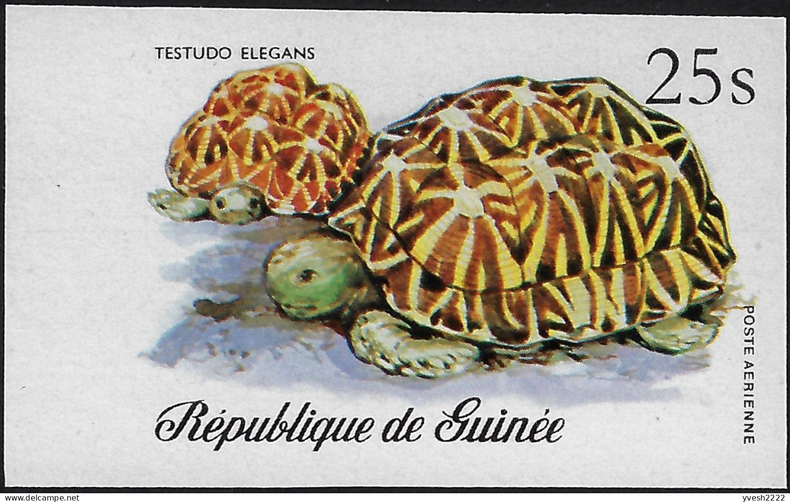 Guinée1977 Y&T PA 115 Non Dentelé. Tortue - Tortues