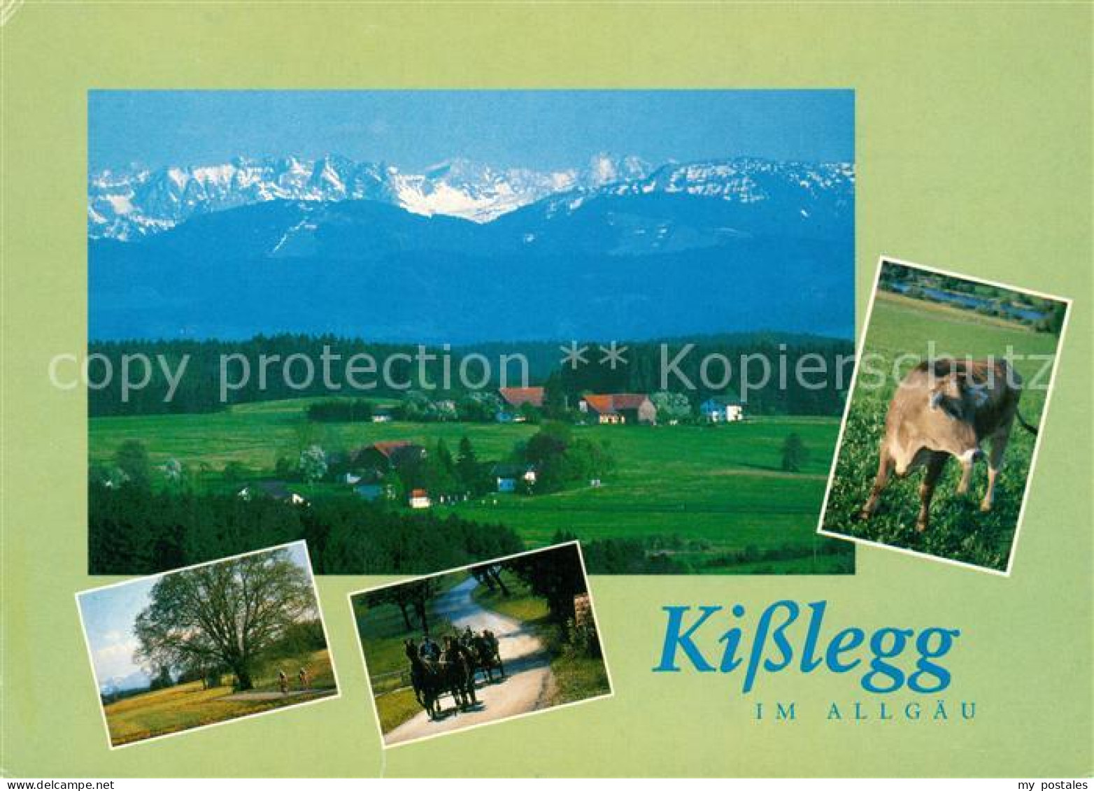 73179220 Kisslegg Landschaftspanorama Mit Alpenkette Kutschfahrten Kuh Kisslegg - Kisslegg