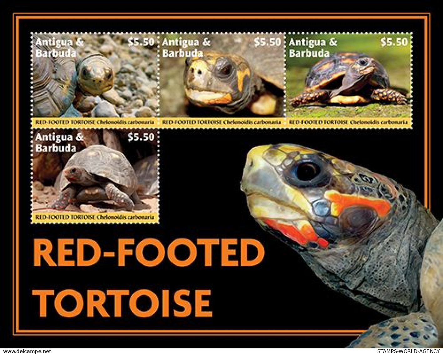 2023-09 - ANTIGUA- RED FOOTED TORTOISE              4V  MNH** - Tortues