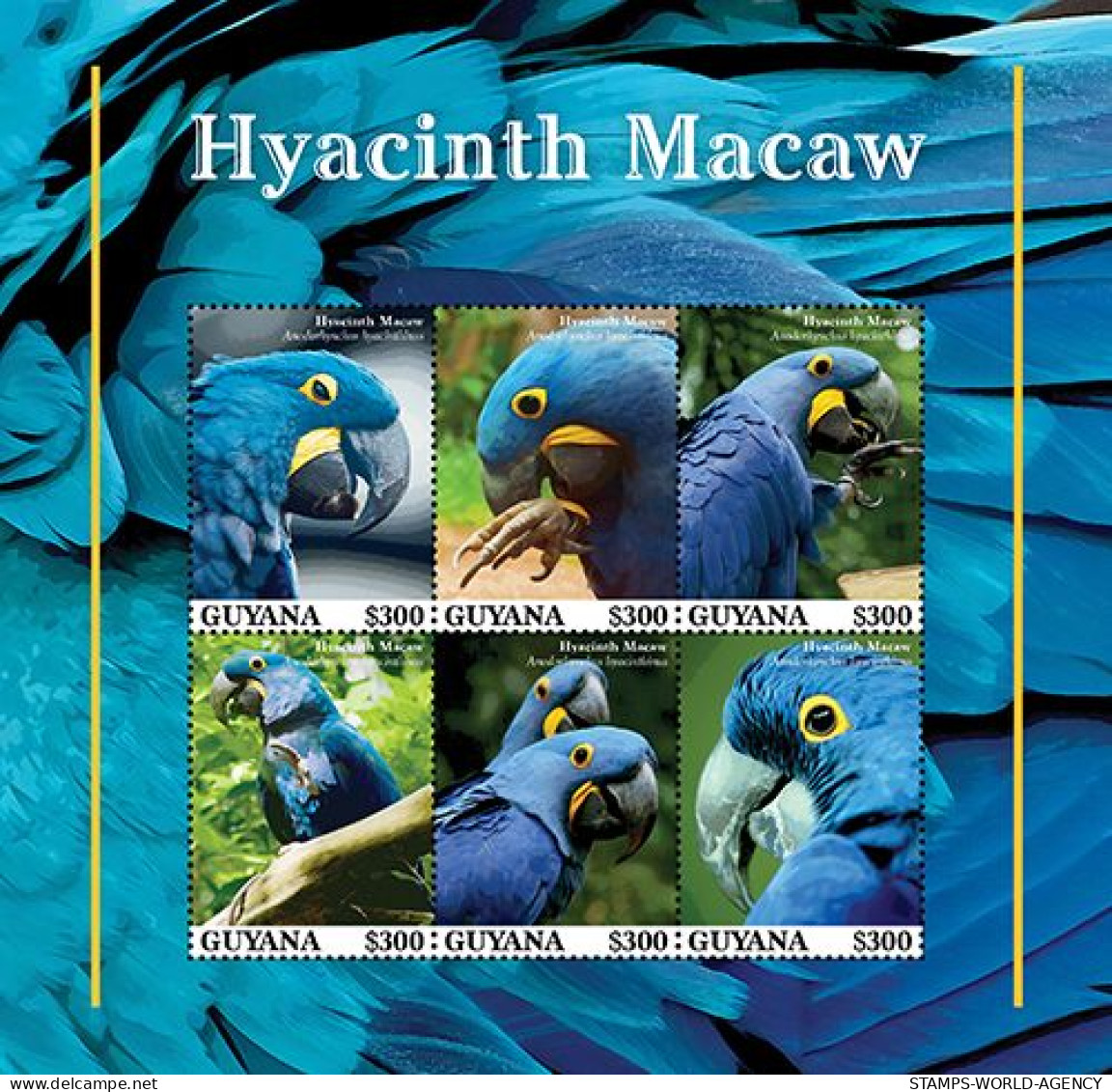 2023-06 - GUYANA- HYACINTH MACAW             6V  MNH** - Papegaaien, Parkieten