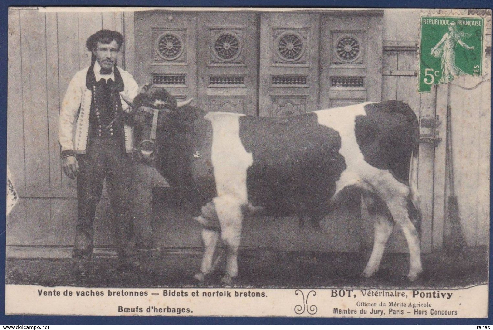 CPA Vétérinaire Vache Pontivy Circulé - Cows