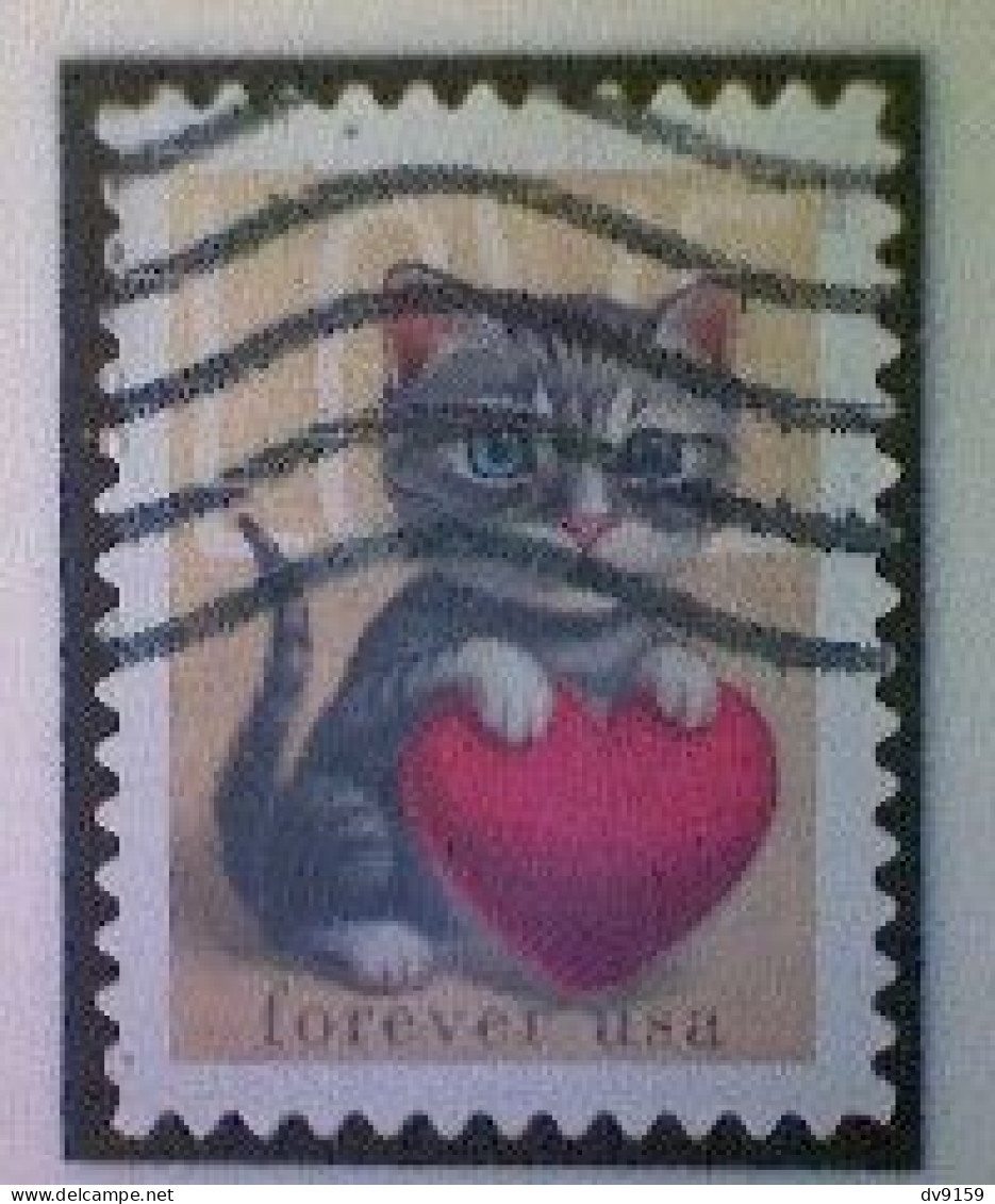 United States, Scott #5745, Used(o), 2023, Love Stamp: Kitten And Heart, (60¢) - Usati