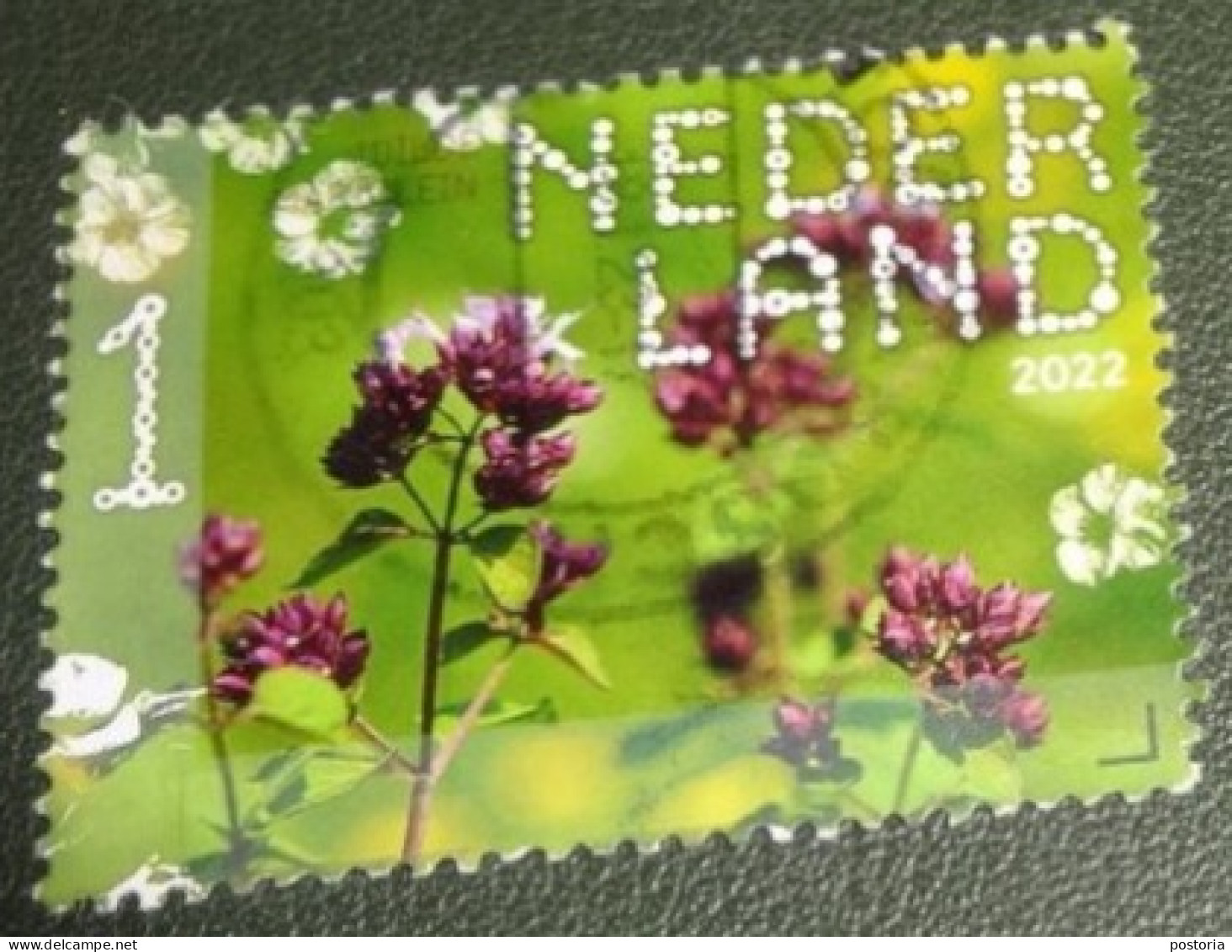 Nederland - NVPH - 4032 - 2022 - Gebruikt - Used - Beleef De Natuur - Wilde Marjolein - Used Stamps