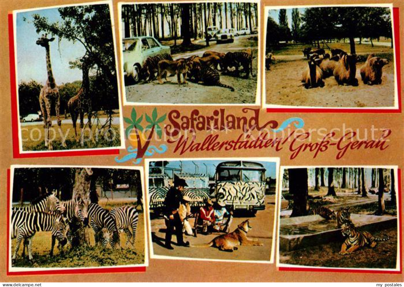 73157835 Wallerstaedten Safariland Tiere Wallerstaedten - Gross-Gerau