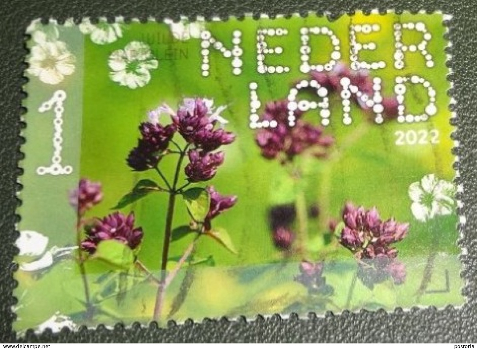 Nederland - NVPH - 4032 - 2022 - Gebruikt - Used - Beleef De Natuur - Wilde Marjolein - Usados