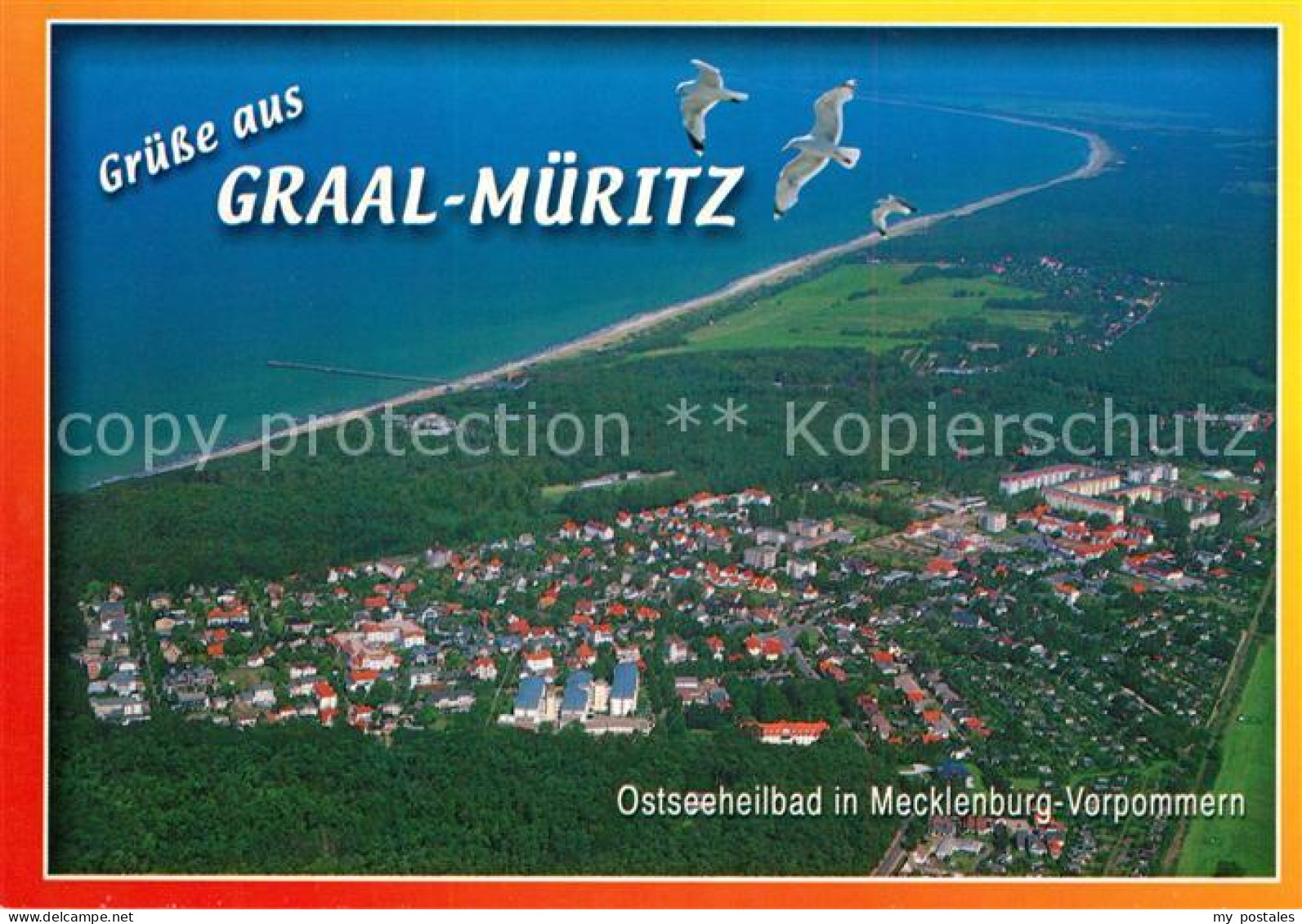 73157170 Graal-Mueritz Ostseebad Moewen Fliegeraufnahme Seeheilbad Graal-Mueritz - Graal-Müritz