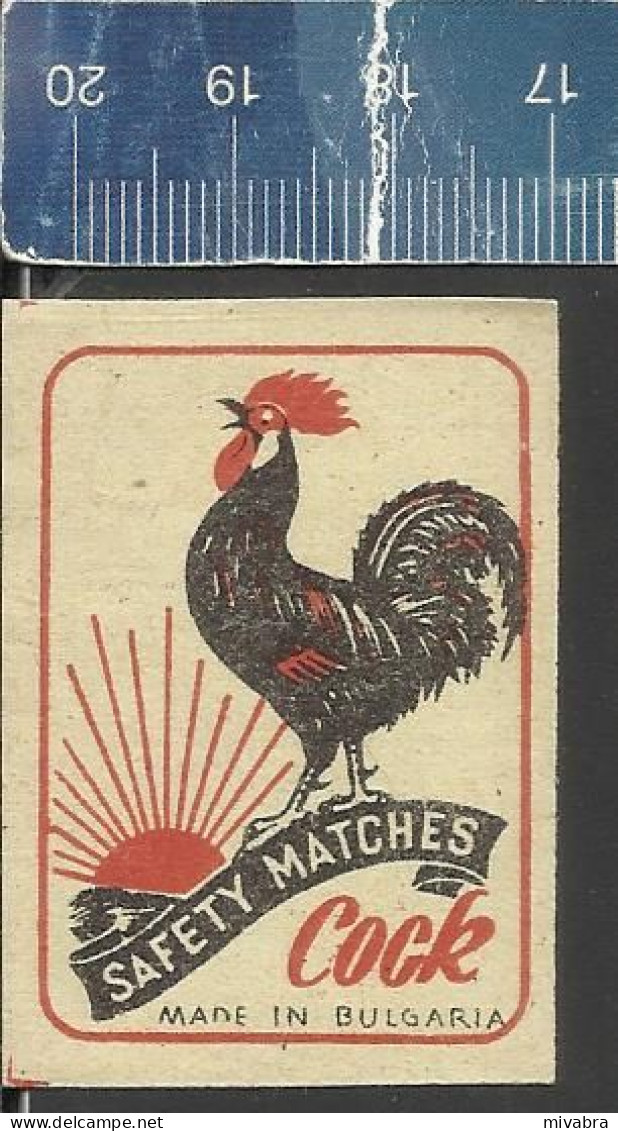 COCK SAFETY MATCHES ( HAAN ROOSTER HAHN CHICKEN COQ) - BULGARIA EXPORT MATCHBOX LABEL - Boites D'allumettes - Etiquettes